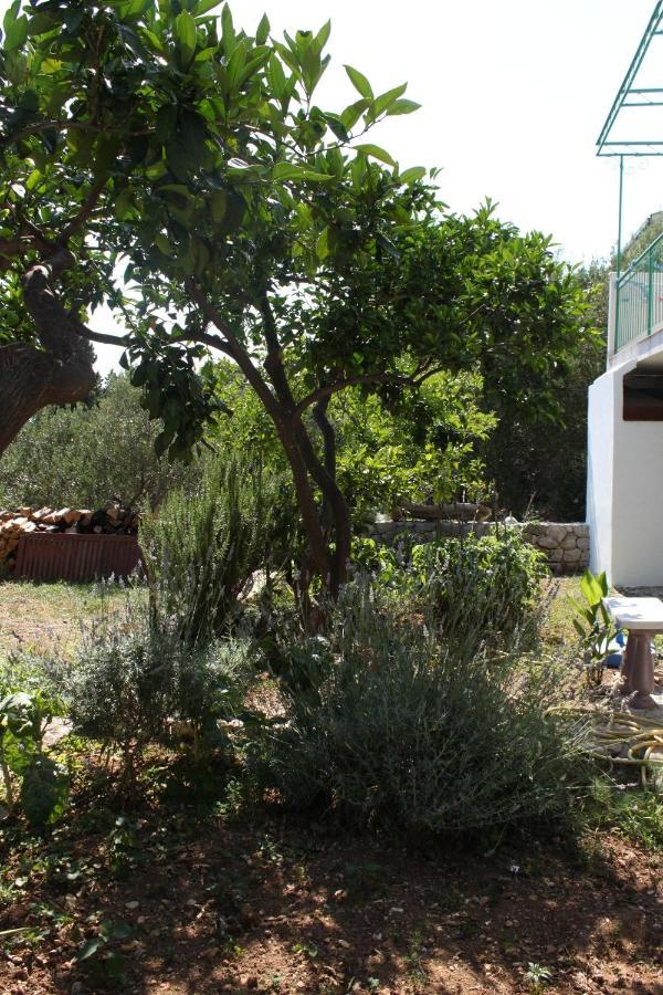 גראדאץ Apartments And Rooms With Parking Space Gradac, Makarska - 6819 מראה חיצוני תמונה